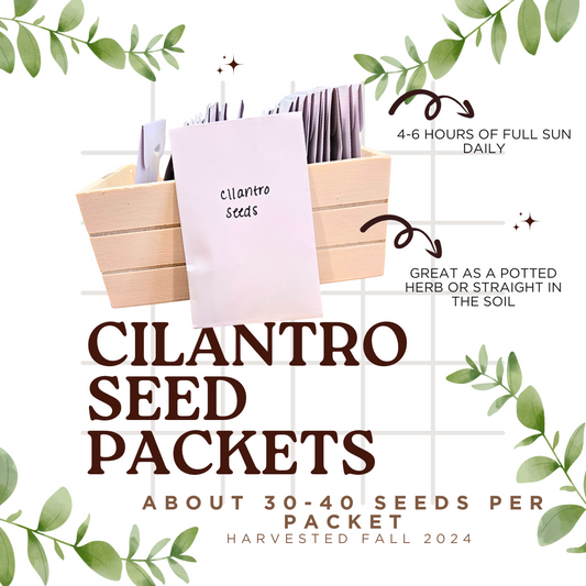 Cilantro Seed Packets